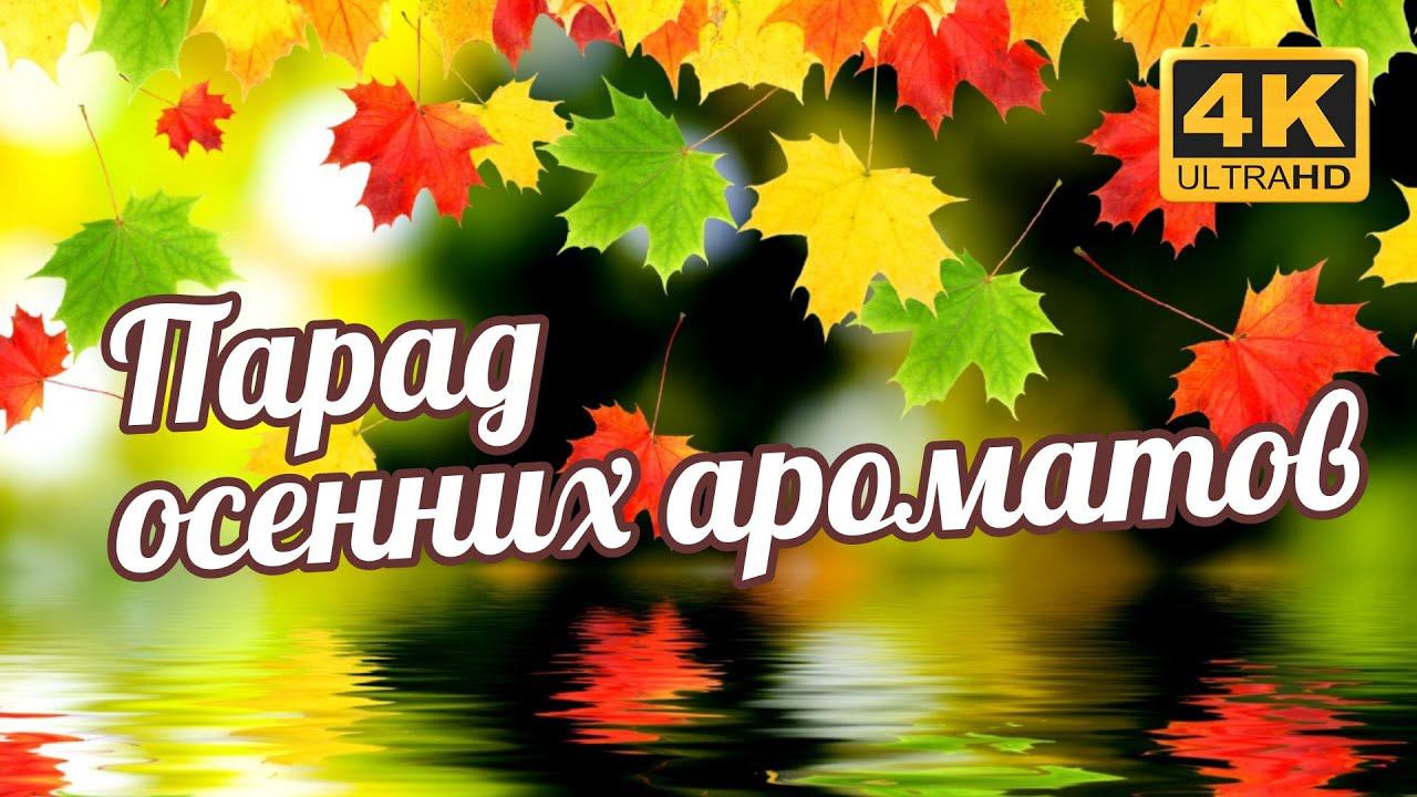 ТЁПЛЫЕ АРОМАТЫ ДЛЯ СОГРЕВА ДУШИ НА ОСЕНЬ смотреть онлайн