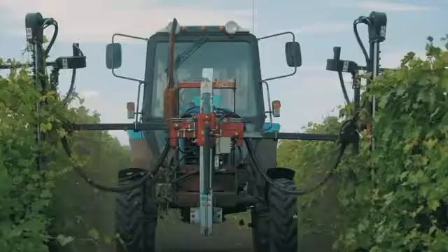 ООО "Самарский виноград" смотреть онлайн