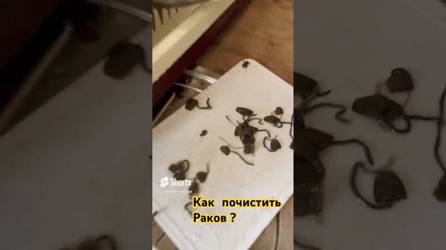 Как почистить раков?