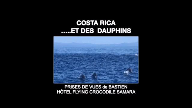 COSTA RICA N°D- À LA RENCONTRE des BALEINES & DAUPHINS au large de l'Hôtel Flying Crocodile Samara смотреть онлайн