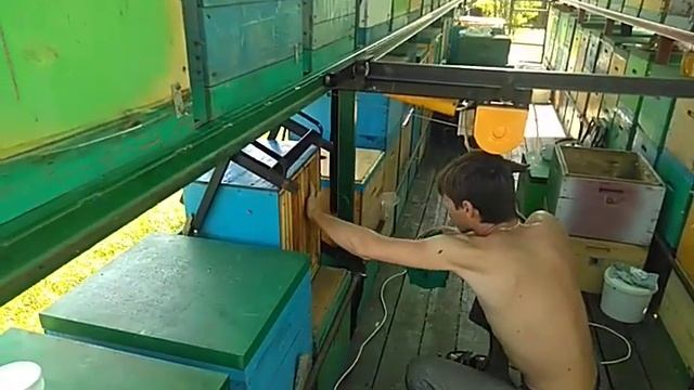 Забираю корпуса с медом смотреть онлайн