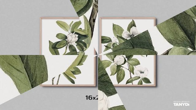 Magnolia & Stewartia Paintings, Mary Vaux Walcott, Botanical Watercolor, Vintage Set 2rb2-201 смотреть онлайн