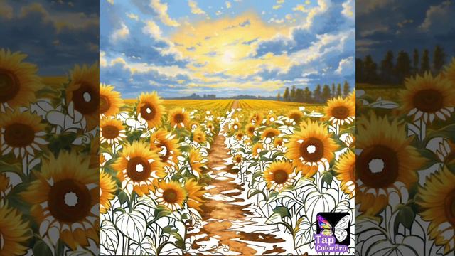 Tap Color Pro Sunflower Picture смотреть онлайн