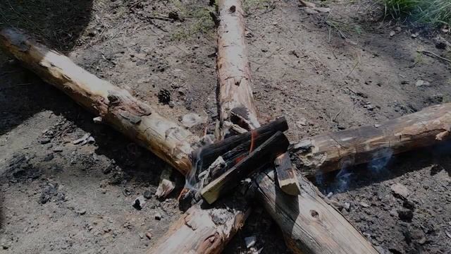 Один в лесу.БУШКРАФТ.Ароматные тушеные овощи с копченой колбасой на костре.Кухня в лесу.Летний похо смотреть онлайн