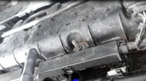 шум двигателя форд фокус 3 (запуск на холодный двигатель)