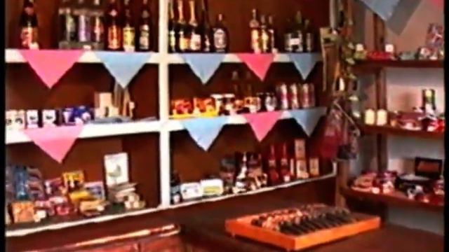 Тайыншинский Район. СКО. 1992 год. Село Зелёный Гай. Первые предприниматели. смотреть онлайн
