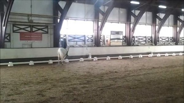 170219 Аня на Эстудиозо