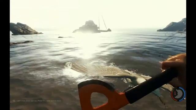 The Forest или изучения природы и Коляна :D