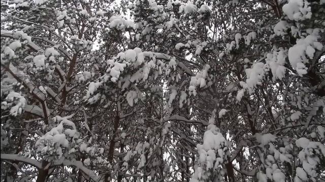 "Весна, когда же ты придешь ?" ( The spring, when will you come?) смотреть онлайн