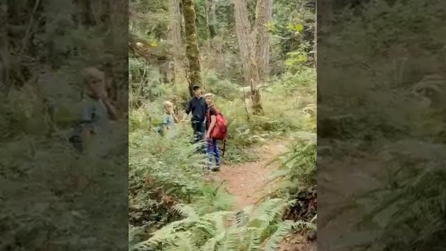 STEPtember Day 3 - Plogging adventures at Steam Donkey Loop Trail смотреть онлайн