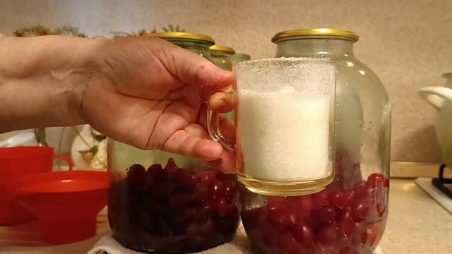 КИЗИЛОВЫЙ КОМПОТ ! ОЧЕНЬ БЫСТРО и ПРОСТО ! смотреть онлайн