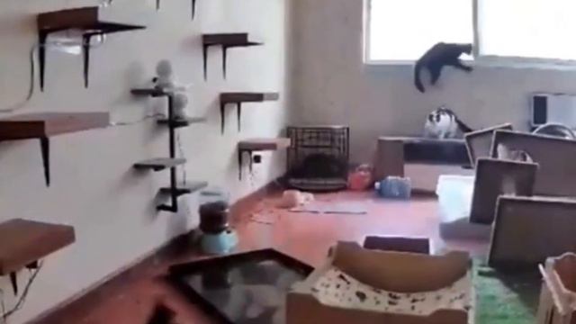 Просто включи звук на полную и смотри как происходит какая-то дичь 👍 смотреть онлайн