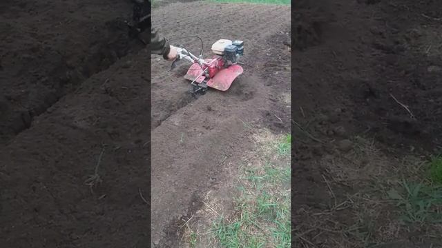 Пашем мелочник мотоблоком брайт бр 105 смотреть онлайн