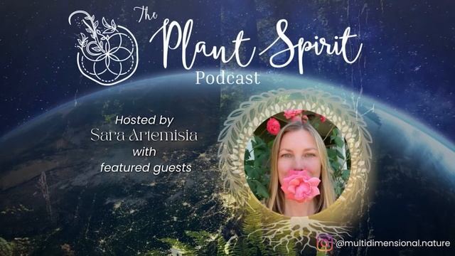 Welcoming Children’s Inner Wisdom with Earth School with Patricia Walsh Collins смотреть онлайн