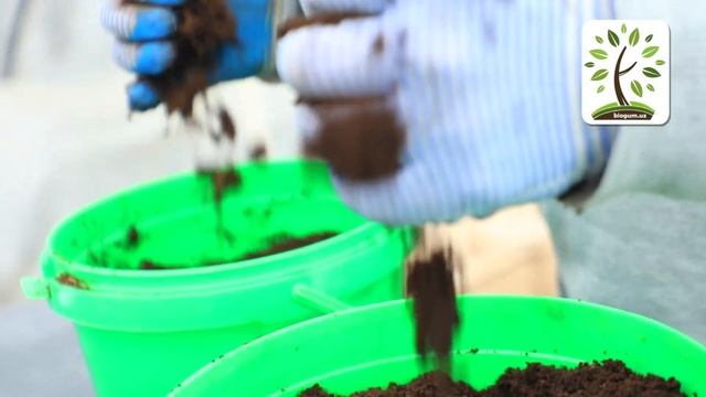 BIOGUM.uz #6 - Компост ва биогумус уртасидаги фарки. Биогумус афзаллиги. смотреть онлайн