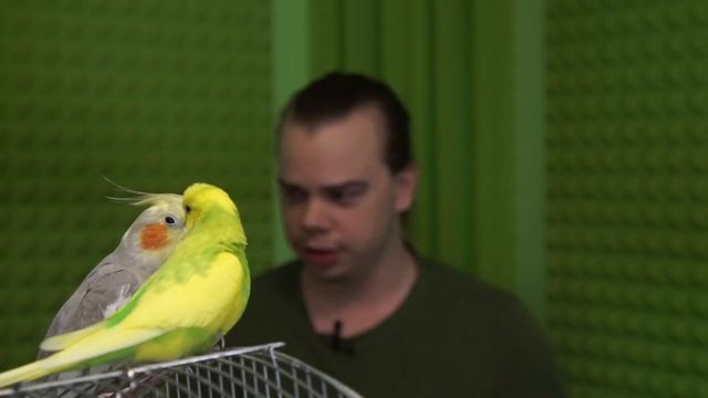 Отключили горячую воду? Пять советов, как мыться в холодной! смотреть онлайн