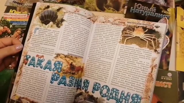 Знакомьтесь: журнал «Юный натуралист»