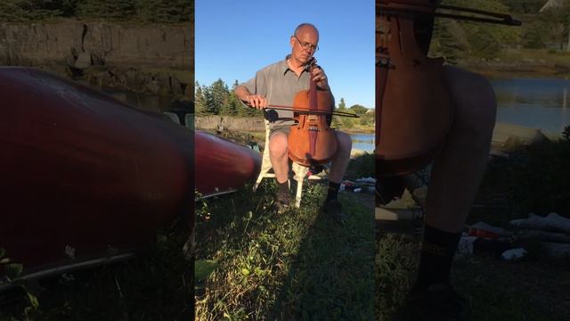 Viola Da Spalla Test