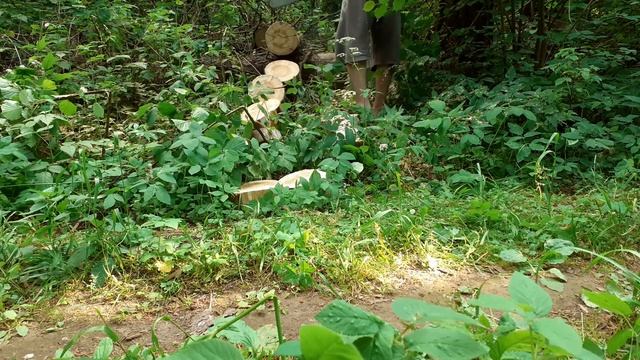 Бензопила Хускварна 257 с шиной 45 см. Работа после прогрева