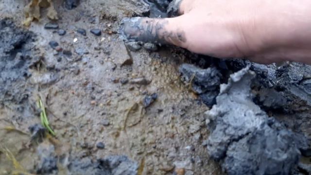 копание беззубок руками смотреть онлайн