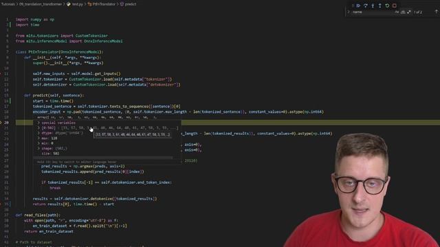 Testing a Custom Transformer Model for Language Translation with ONNX смотреть онлайн