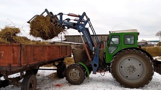 Обзор на самодельные вилы для куна трактора Т40. Чистим навоз на Т40 АМ. смотреть онлайн