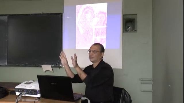 Атауллаханов Р.И. Иммунология для студентов Физфака МГУ Лекция №9 смотреть онлайн