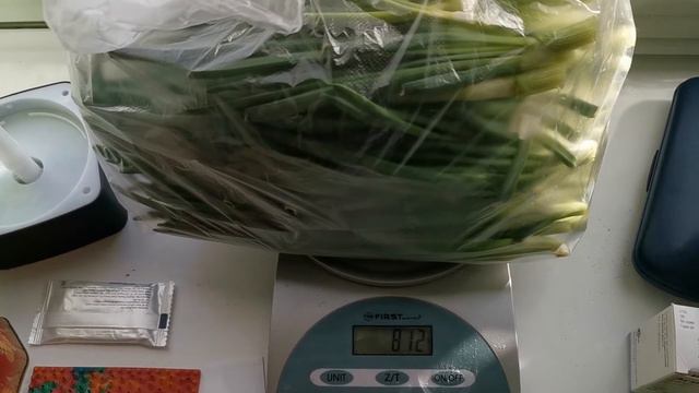 ЛУК НА ПЕРО НА ЗЕЛЕНЬ (ЗА 15 ДНЕЙ) | ЛУК НА ПЕРО ДОМА НА ПОДОКОННИКЕ | ВЫРАЩИВАЕМ ЛУК НА ПЕРО ДОМА смотреть онлайн