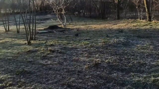 Три теплых дня на даче в феврале.Выравниваю участок с перепадом, для газона.