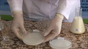 Мастер класс Оценка качества молока  Преподаватель Светашова А. Л.