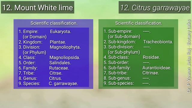 Pure, distinctive and unhybridized specieses of citrus-genus plants смотреть онлайн