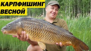 БЮДЖЕТНЫЙ КАРПФИШИНГ ВЕСНОЙ. ЛОВЛЯ КАРПА НА ЗЕРНОВЫЕ. Рыбалка на Чернице.