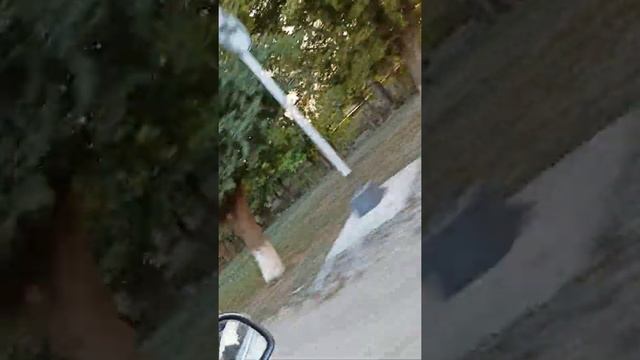 Коби 2021год август смотреть онлайн