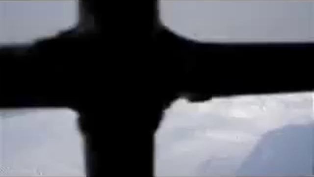 Кормление уссурийских тигров ВЫ ОЧЕВИДЕЦ.mp4 смотреть онлайн