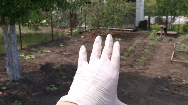 ?Купили дачу 17 серия✅мульчирование✅так дело не пойдёт... смотреть онлайн