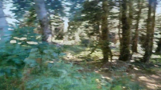 Грузия 🇬🇪 гора 🗻 гомисмта 2020. едем в горы на курорт. смотреть онлайн