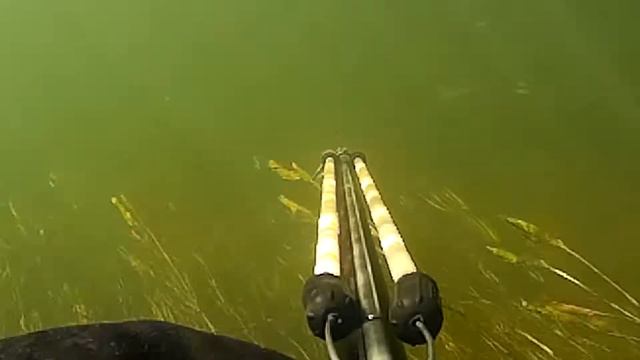 Подводная охота р Медведица Взгляд с высока HD смотреть онлайн