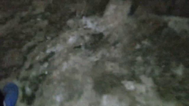 Как меня отвезли в отдел, сходил называется в магазин) смотреть онлайн