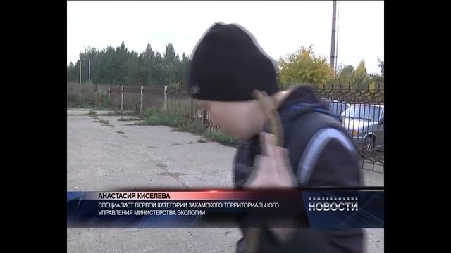 запах и куры смотреть онлайн