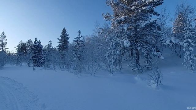 Мороз и солнце. Немного зимней природы Мурманска.
