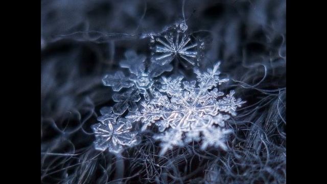 Новогодняя история "СНЕЖИНКИ" смотреть онлайн
