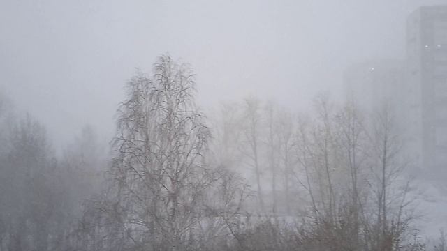 капризы природы