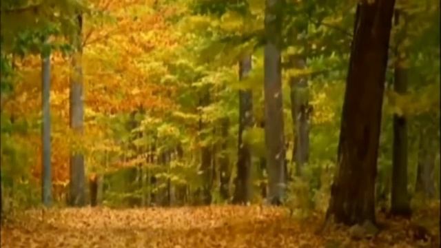 Вивальди - Осень смотреть онлайн
