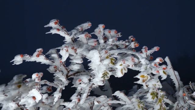 ЭТО ЗАВОРАЖИВАЕТ и ВОСХИЩАЕТ! смотреть онлайн