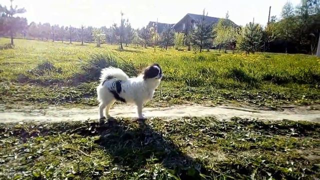 классненько!!!!!!!! смотреть онлайн