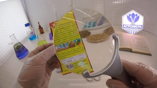 Томат Королевский подарок. Аэлита