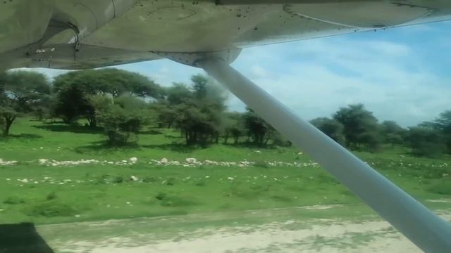 Полет в нац. парк Серенгети (Серонера, Ндуту + Озеро Маньяра) | Air Excel Cessna 208B Grand Caravan смотреть онлайн
