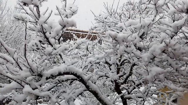 В Сочи выпал снег /На дворе 18 марта /Что случилось с погодой?