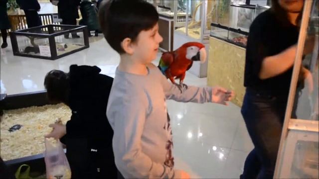 Трогательный зоопарк в Харькове смотреть онлайн