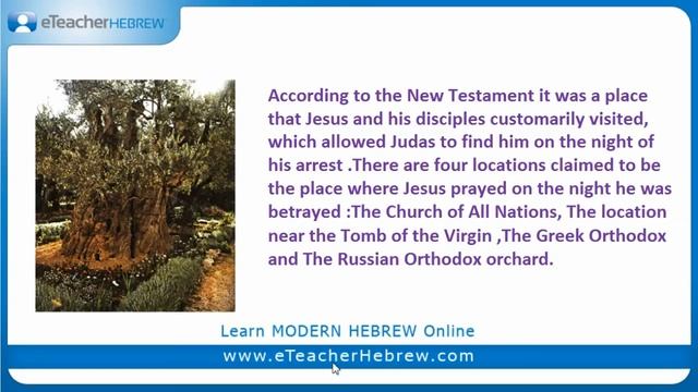 Where Jesus prayed his last prayer? | Modern Hebrew Q&A with eTeacherHebrew смотреть онлайн